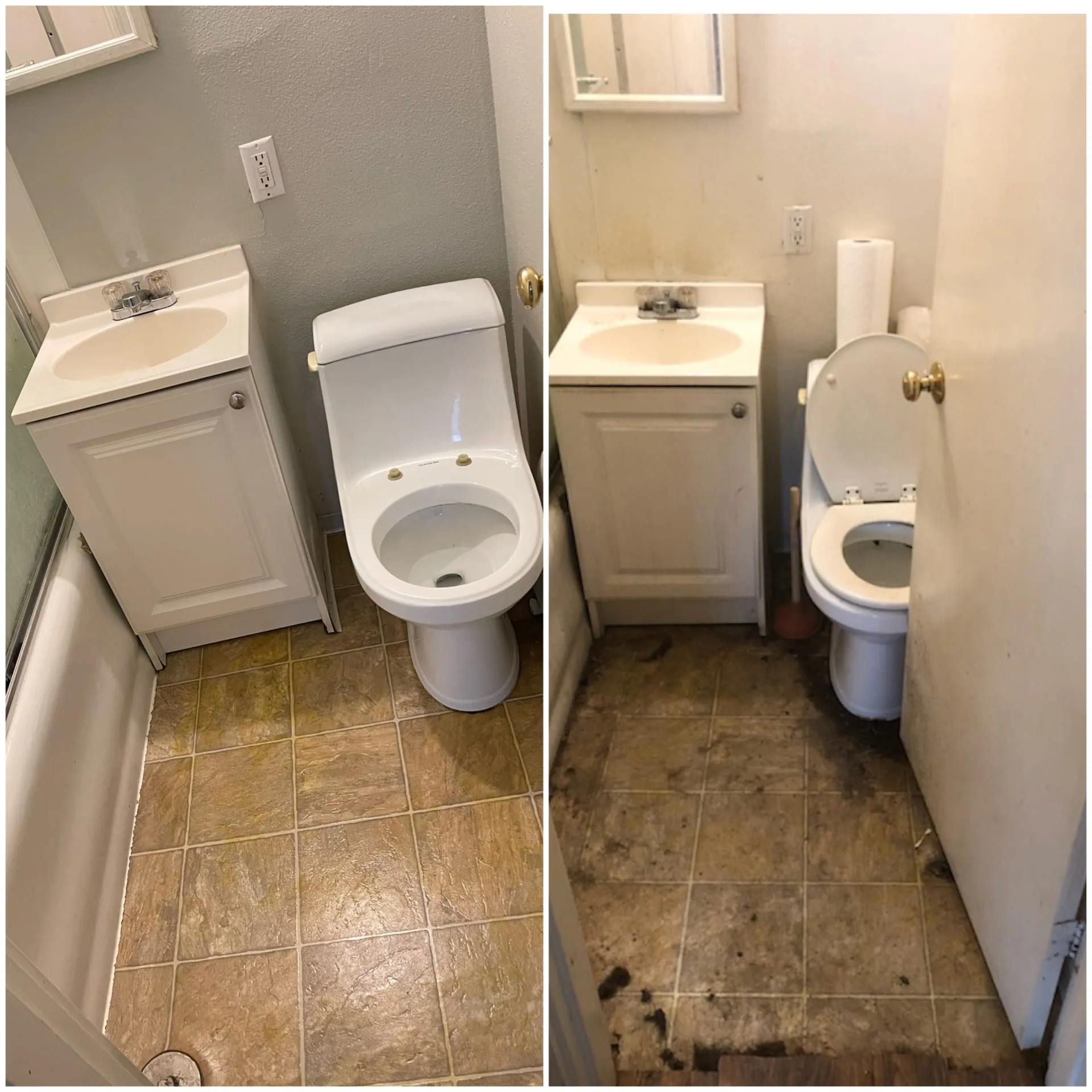 Completed JoyShine job